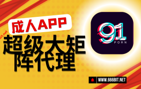 几十个成人APP矩阵,一个链接全套收益!