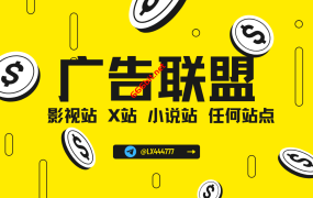 【广告联盟】国内影视站,X站,小说站及任何真实流量站点变现!