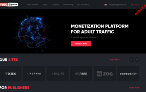 Tubecorporate广告联盟,搭配WP-scrip插件实现海外X站盈利增长!