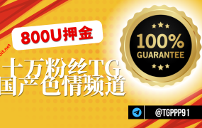 【800U押金】十万狼友粉丝TG频道主,在线卖广告