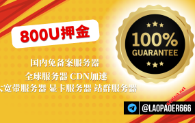 【800U押金】国内免备案服务器,全球服务器,国内高防,海外稳定线路,大宽带/站群/显卡服务器,CDN加速