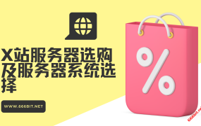 X站服务器选购及服务器系统选择